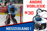 Eisbären verpflichten André Vorlicek
